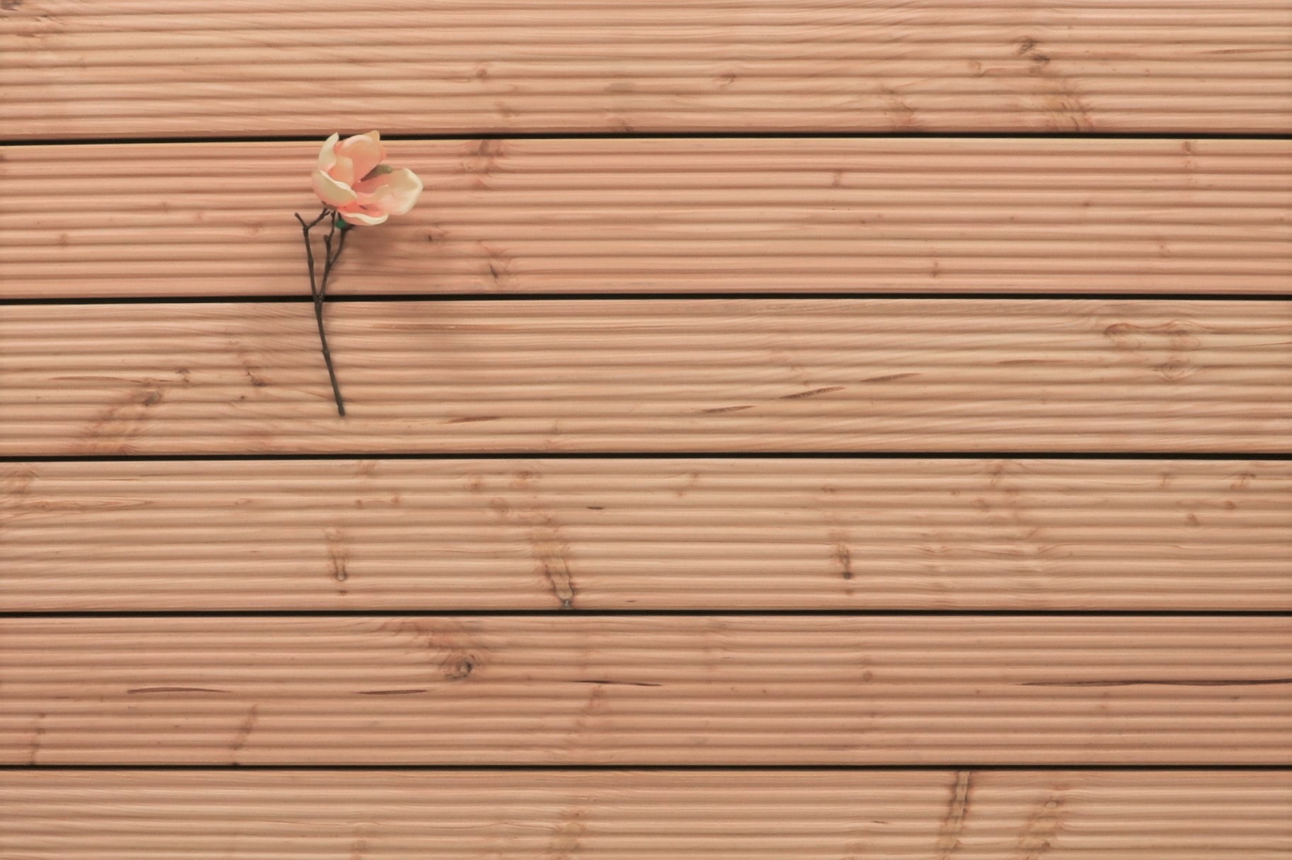 Terrassenholz Douglasie Bretter, 26 x 145 bis 5000 mm Dielen, grob genutet, 5,30 €/lfm, Holz für die Terrasse