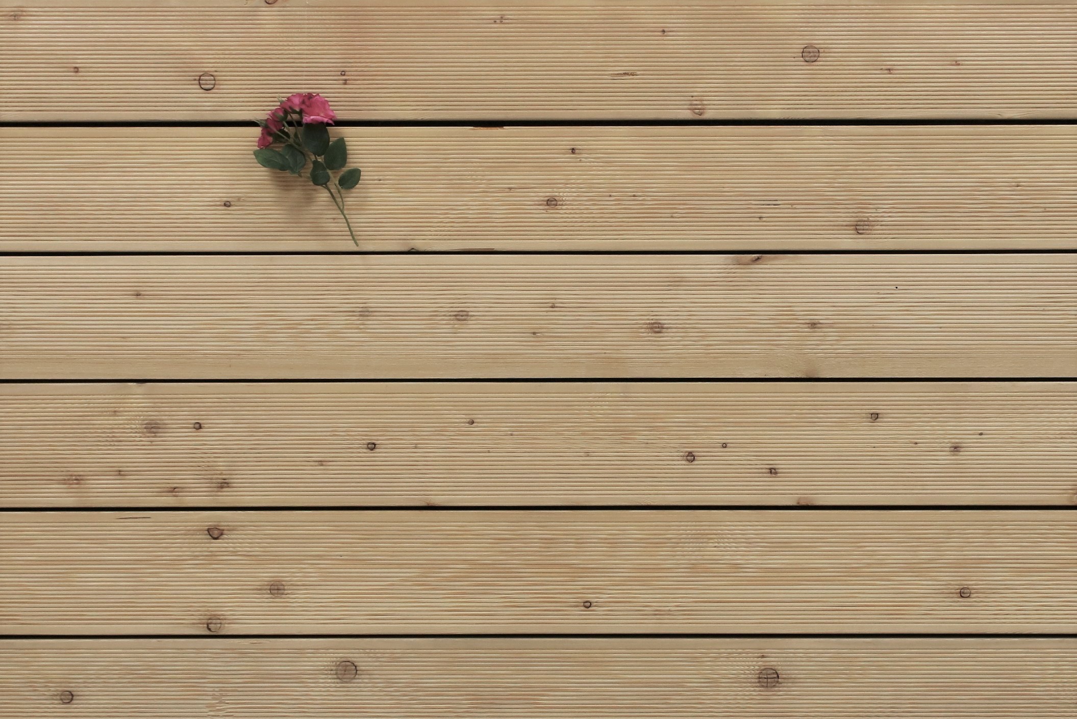 Terrassenholz Sibirische Lärche Bretter, 26 x 143 bis 6000 mm Dielen, fein gerillt, 7,80 €/lfm, AB Sortierung, Holz für die Terrasse