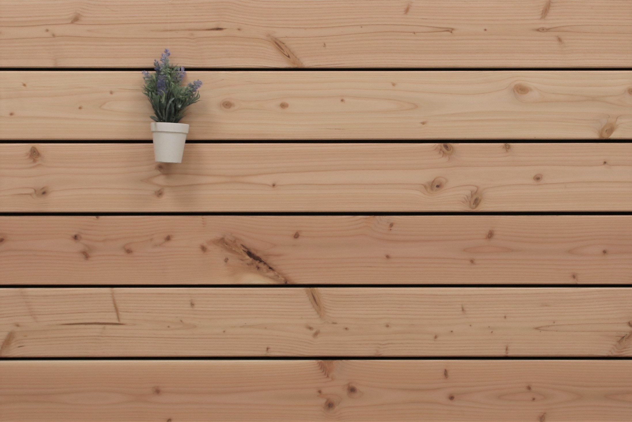 Angebot des Monats, Terrassenholz Douglasie Bretter, 26 x 145 bis 5000 mm Dielen, glatt, 5,20 €/lfm, Holz für die Terrasse