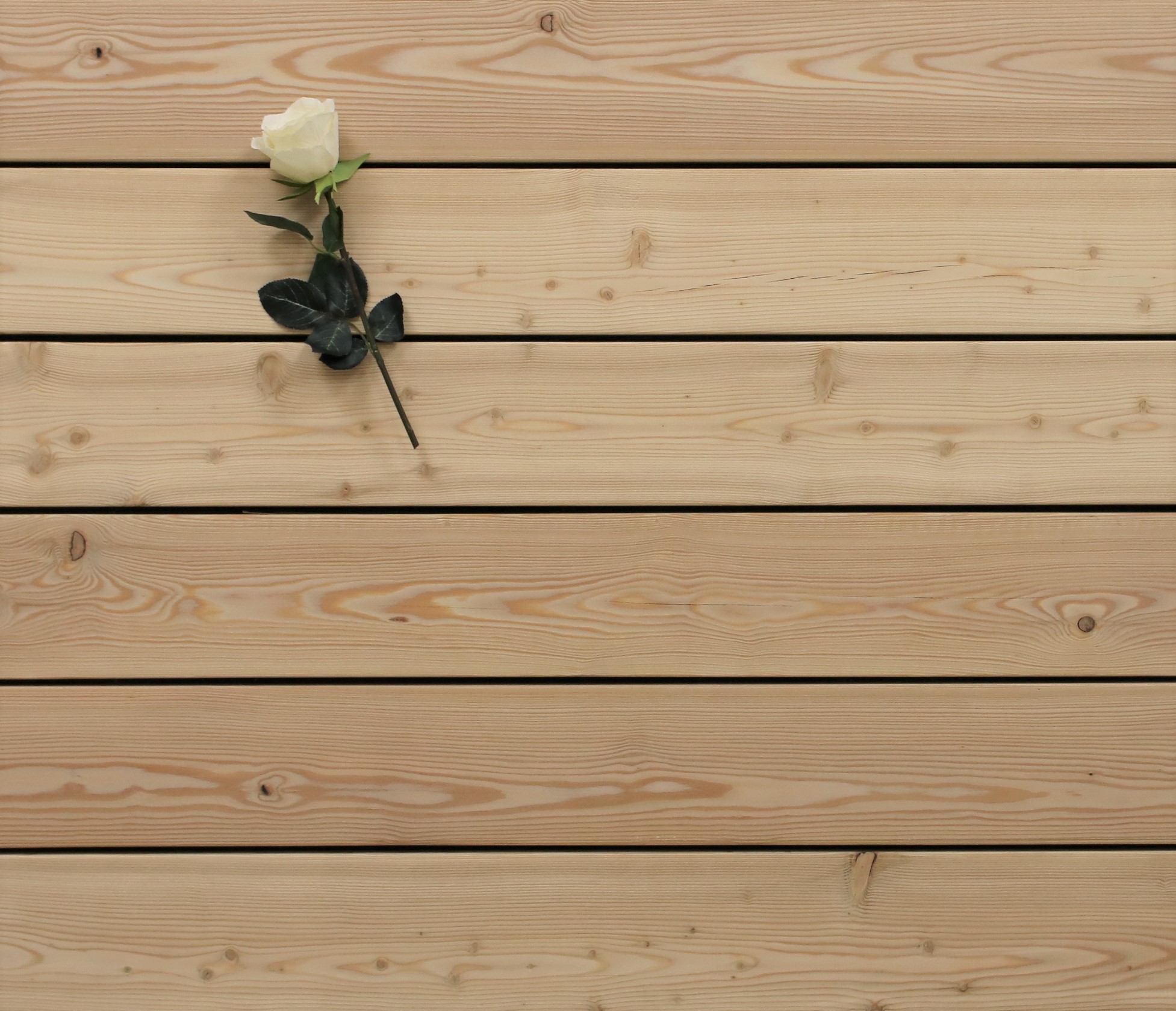 Terrassenholz Sibirische Lärche Bretter, 40 x 143 bis 5100 mm Dielen, glatt, 15,10 €/lfm, AB Sortierung, Holz für die Terrasse