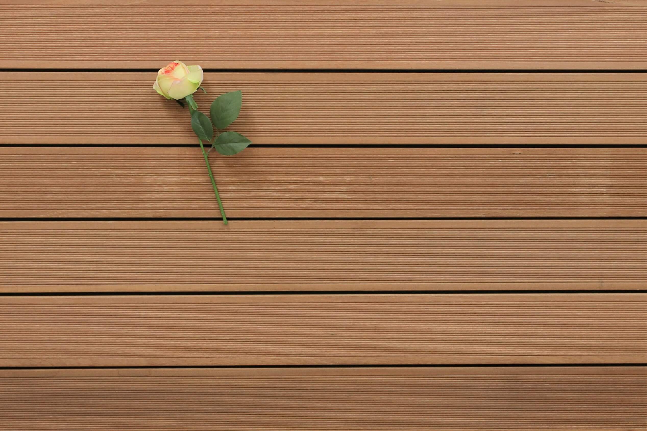 Terrassenholz Bangkirai Bretter, 25 x 145 x 5490 mm Dielen, fein gerillt, 13,30 €/lfm, Premium (KD) Holz für die Terrasse